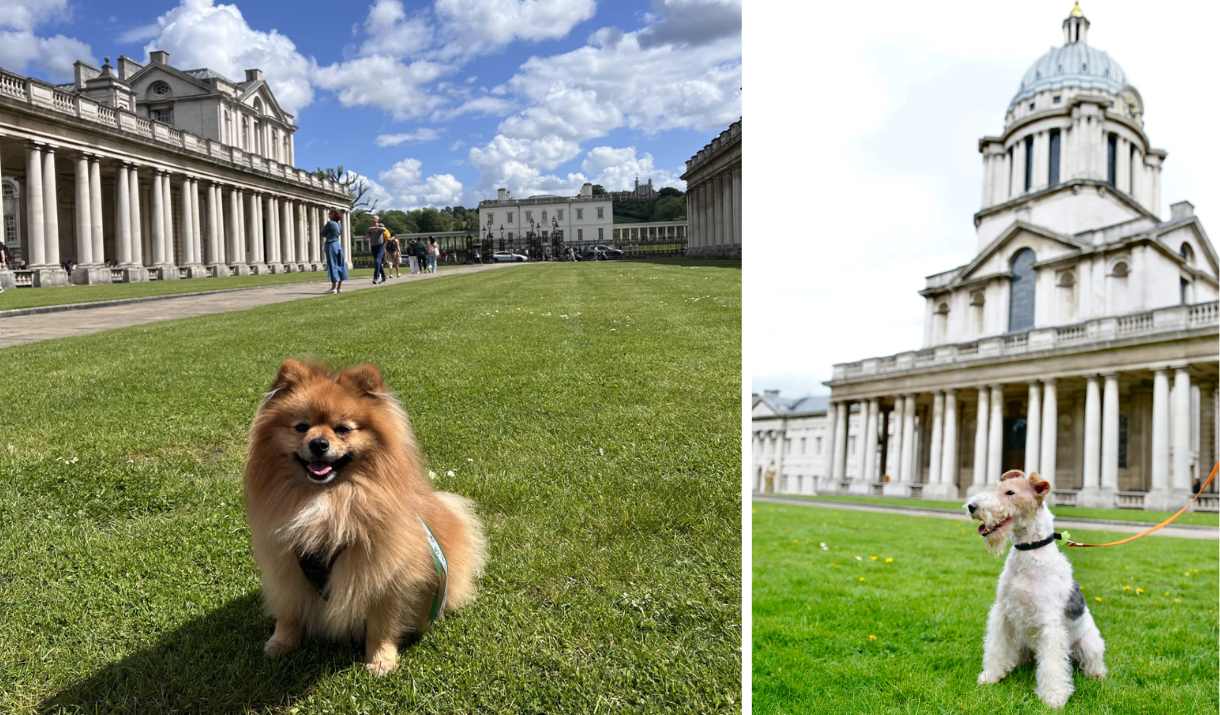 Dogs at the Old Royal Naval College in Greenwich